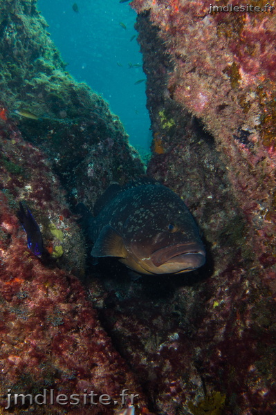 20241021_PuertoCarmenPlageJ2_05237.jpg