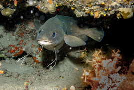 20251018 GrandeBaie 00005